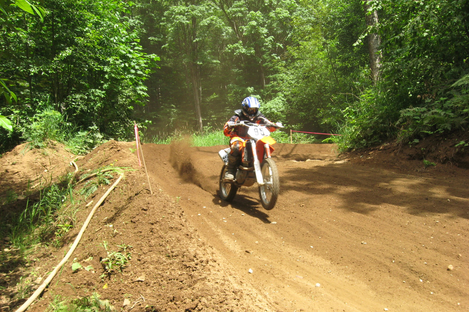 Making Roost